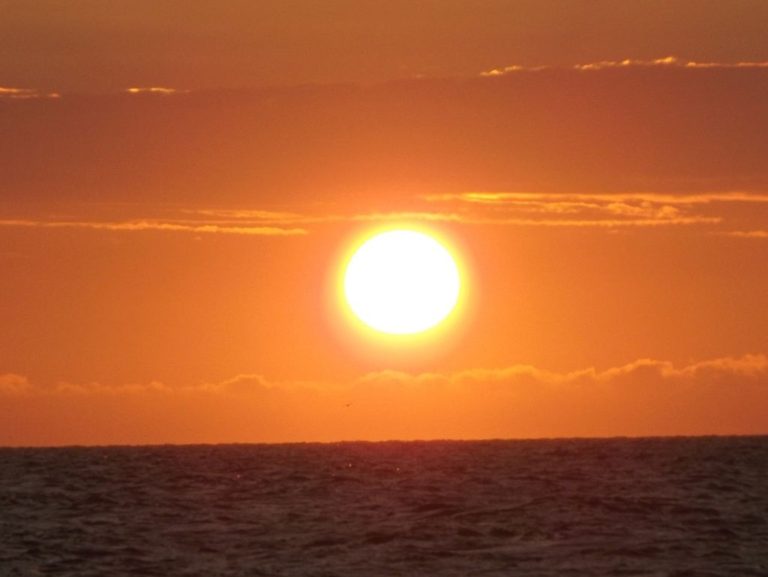 Sunset watching
