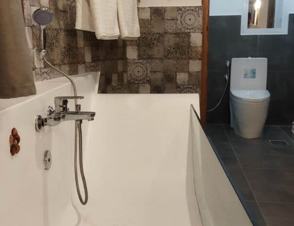Luxury bathroom with glass bathtub and toilet